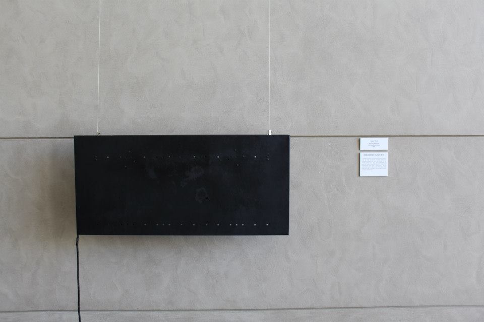 Installation: Selective Pressures - UWS Art Gallery 2014 & Gaffa Gallery 2015